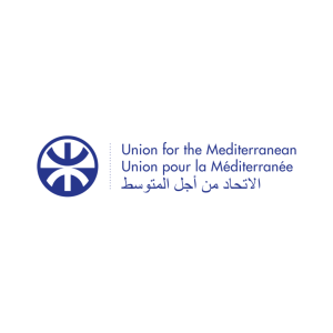 UfM - Union for the Mediterranean logo