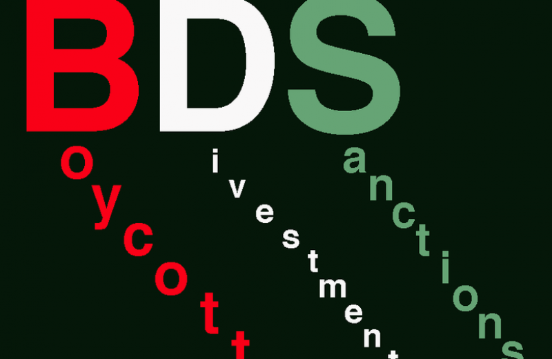 The Differences Between The Eu S Differentiation Policy And The Bds Movement